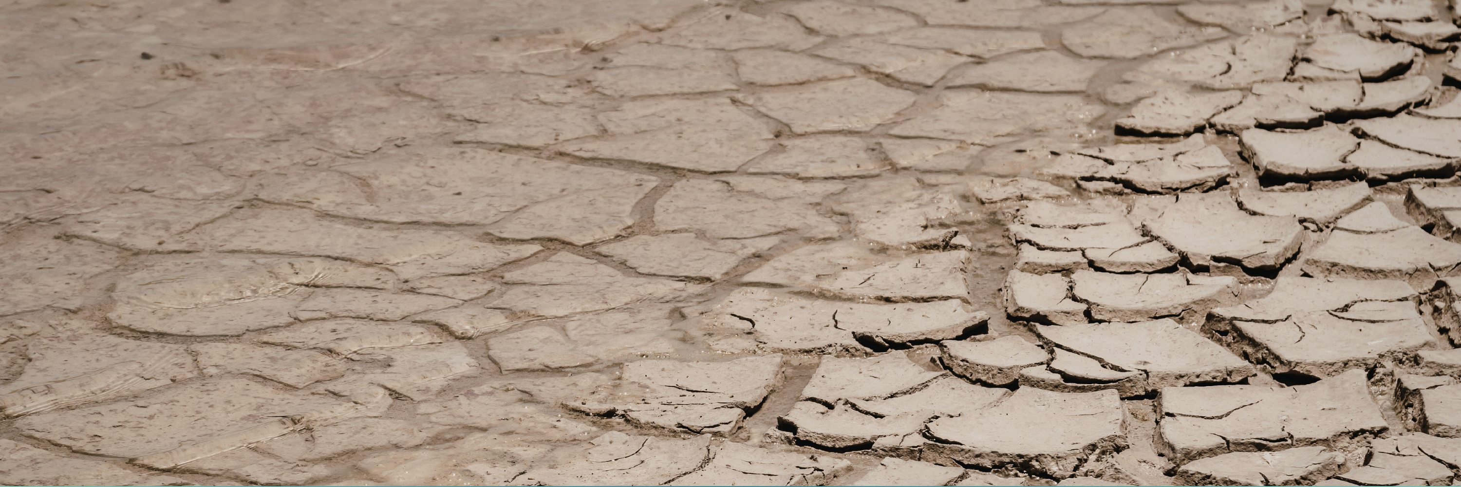 The Hushed Earth Edit