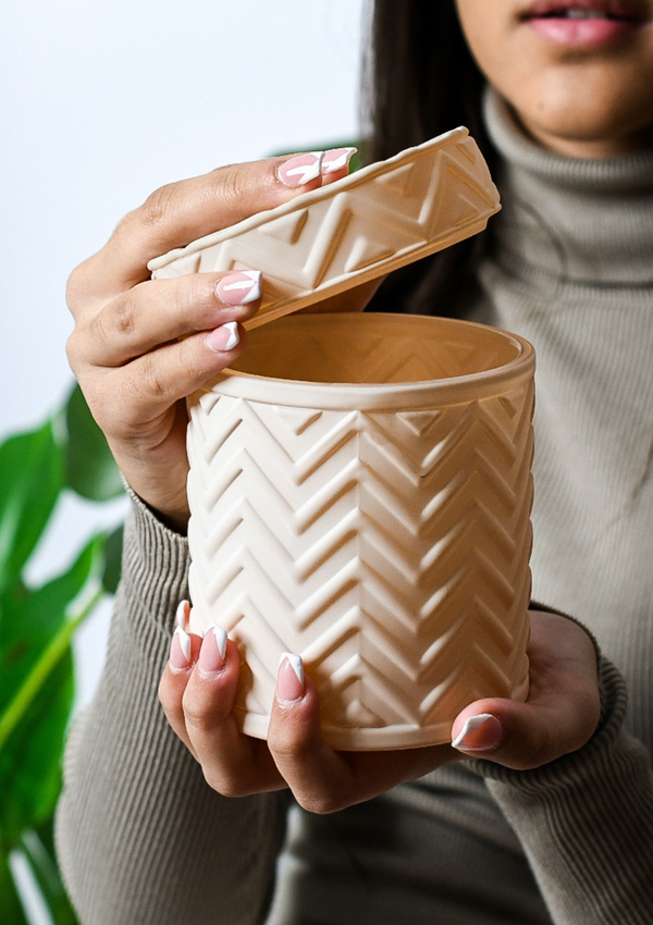 SIONA - Scallop Shell - Matte